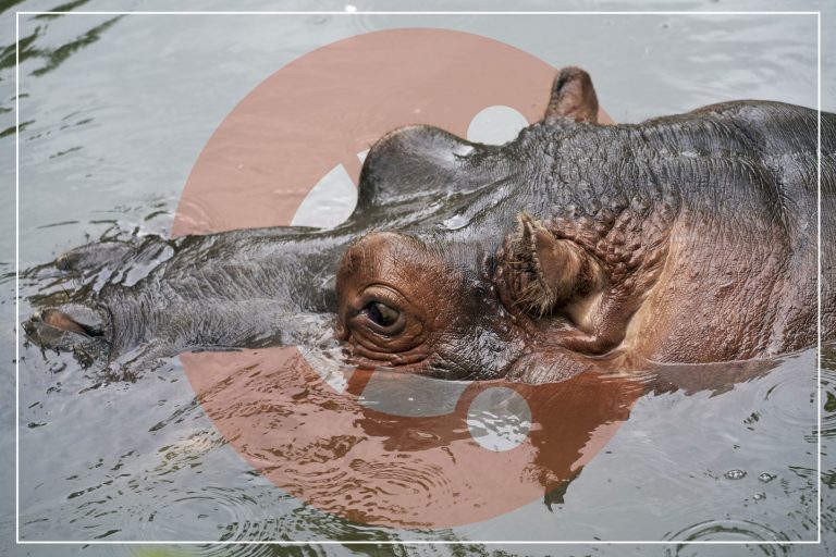 Ubuntu 21.04 obtienen una importante actualización de seguridad del kernel, 17 vulnerabilidades parcheadas