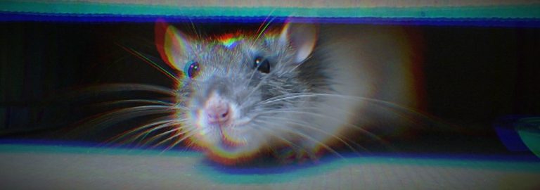 El nuevo malware de Hacking Group abusa de los servicios de Google y Facebook