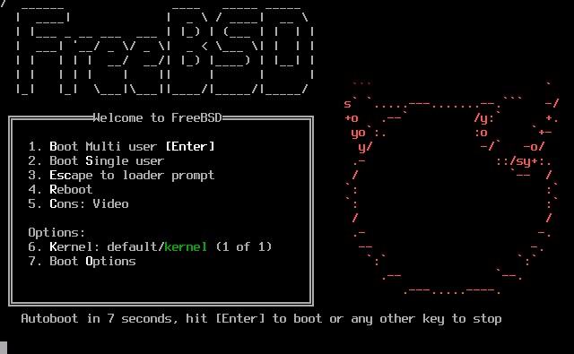 freebsd install