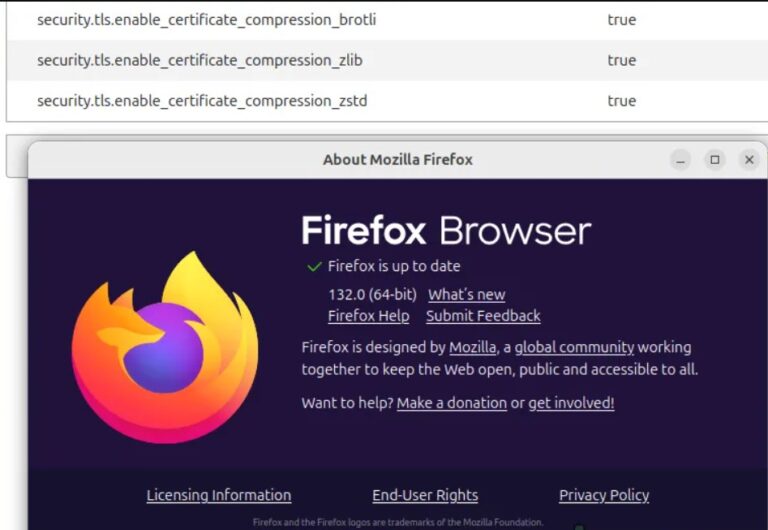 Firefox 132 Listo con compresión de certificados, Filtro SVG Acelerado
