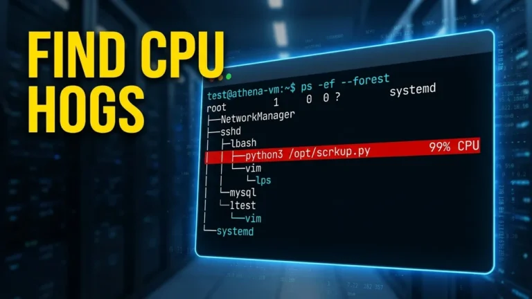 Domina el comando PS en Linux como todo un administrador de Linux